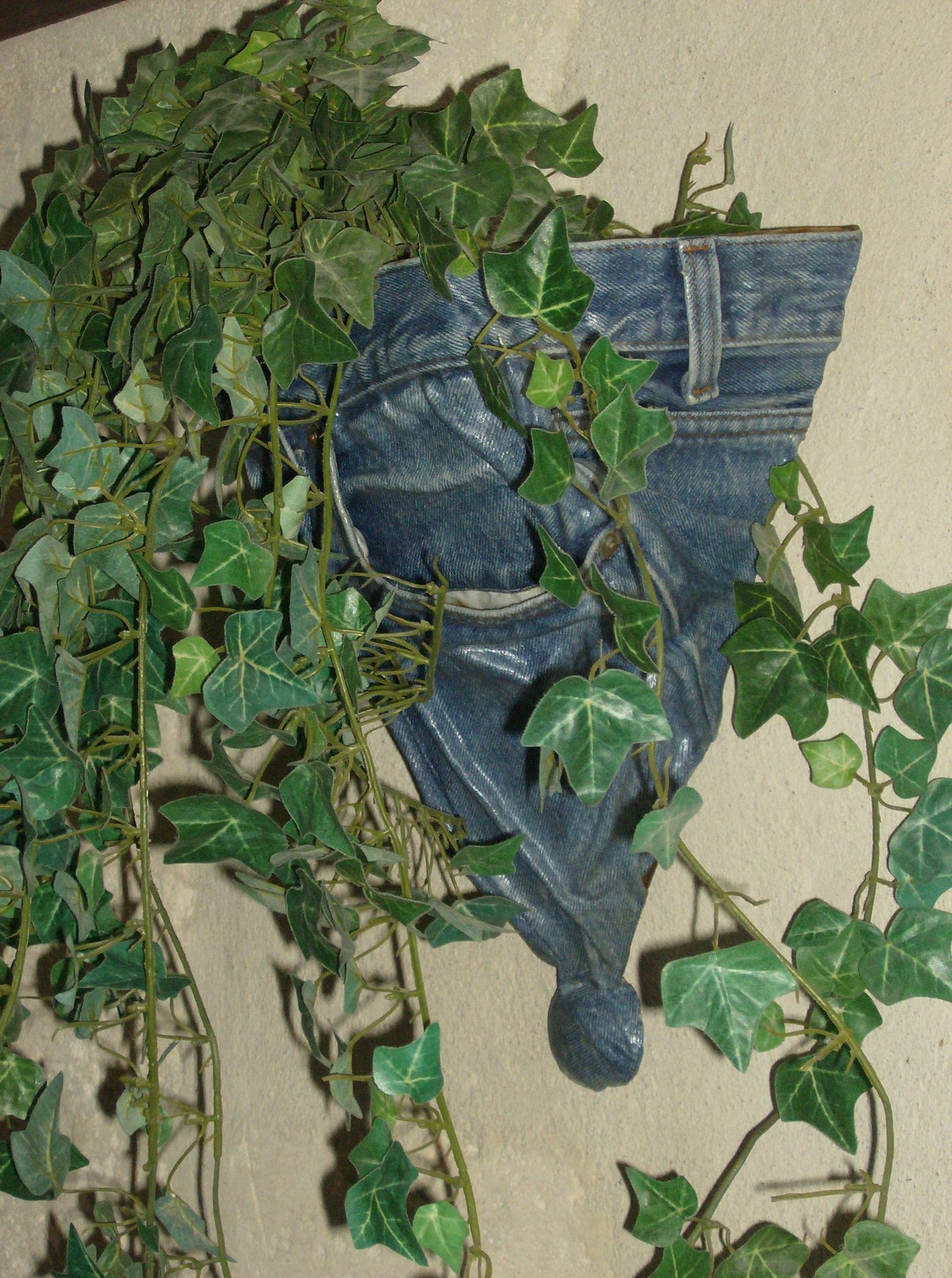 Jean mural au lierre, Jean stratifié intégré décor végétal
