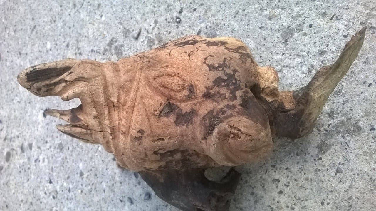 Tête de taureau, Bois sculpté brut